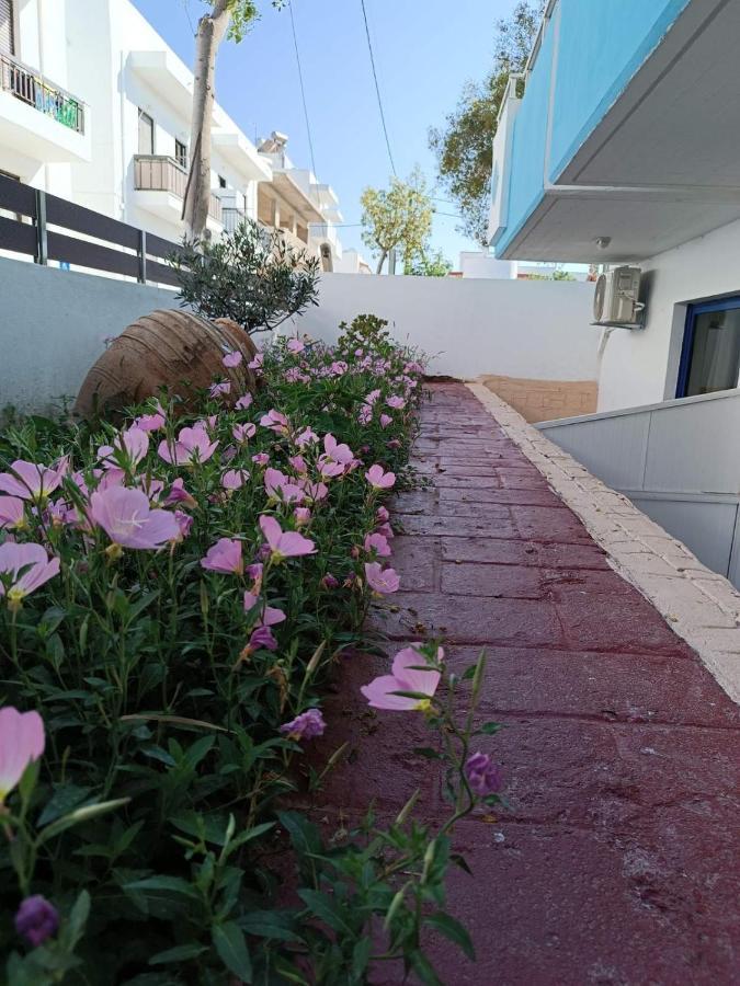 Mina Διαμέρισμα